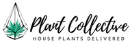 Plant Collective: House Plants Canada