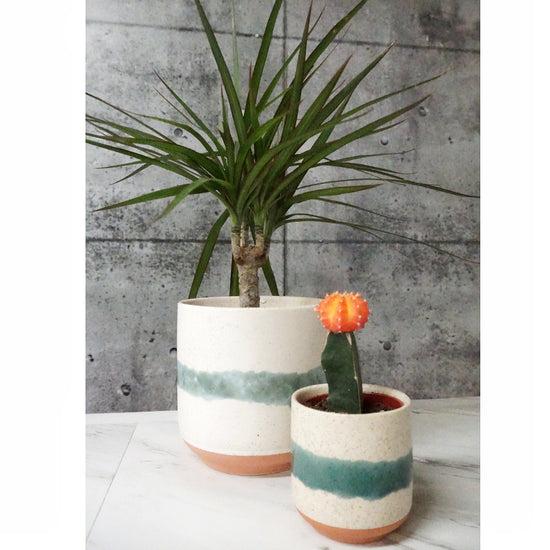 Baja Pot - By Plant Collective | Indoor House Plants, Succulents, Air Plants & Terrariums - Toronto Canada