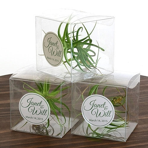 air plant wedding 25 Air Plant Favors