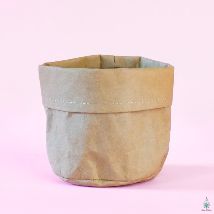 Kraft Bag Planter