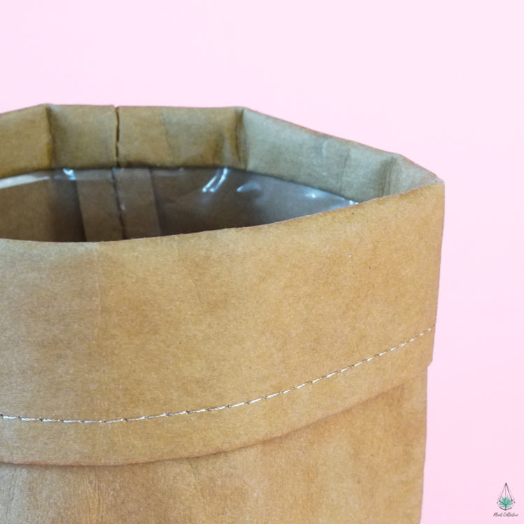 Kraft Bag Planter