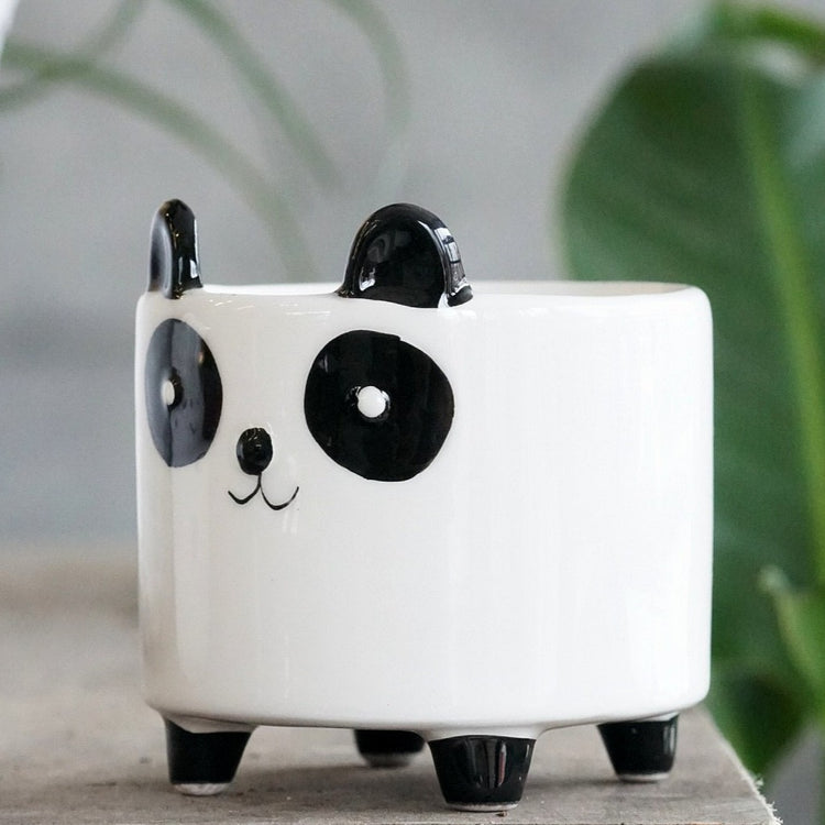Panda Pot - By Plant Collective | Indoor House Plants, Succulents, Air Plants & Terrariums - Toronto Canada