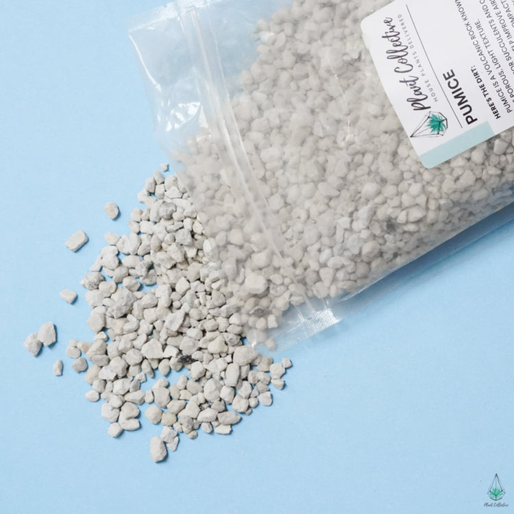 Pumice