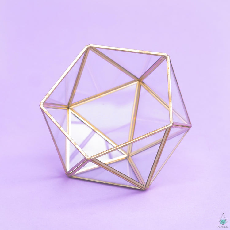 DIY Succulent Terrarium Kit - Demi