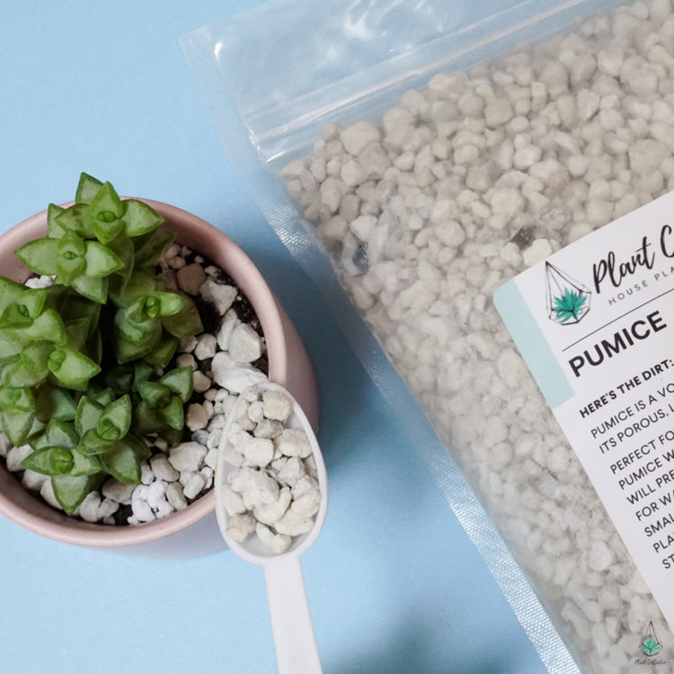 Pumice