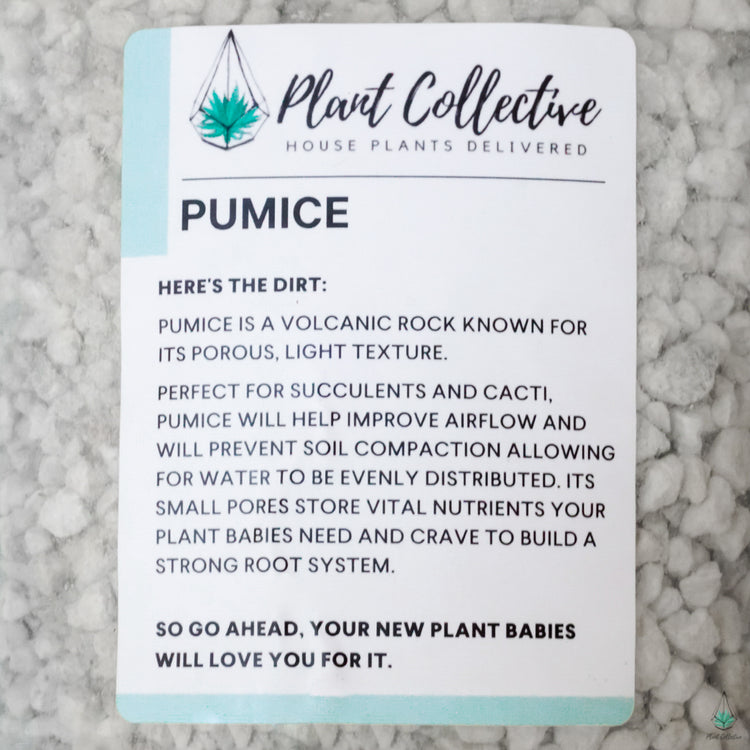 Pumice