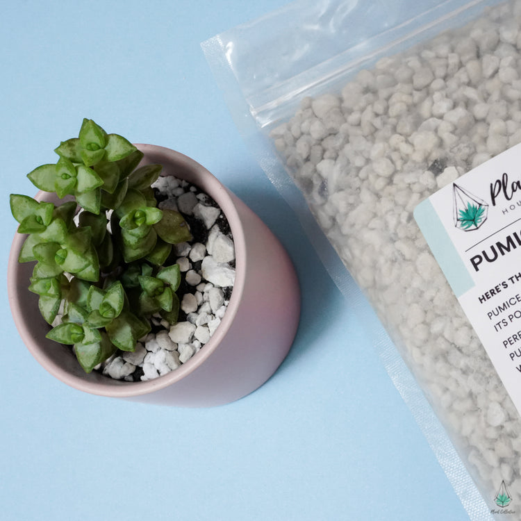 Pumice