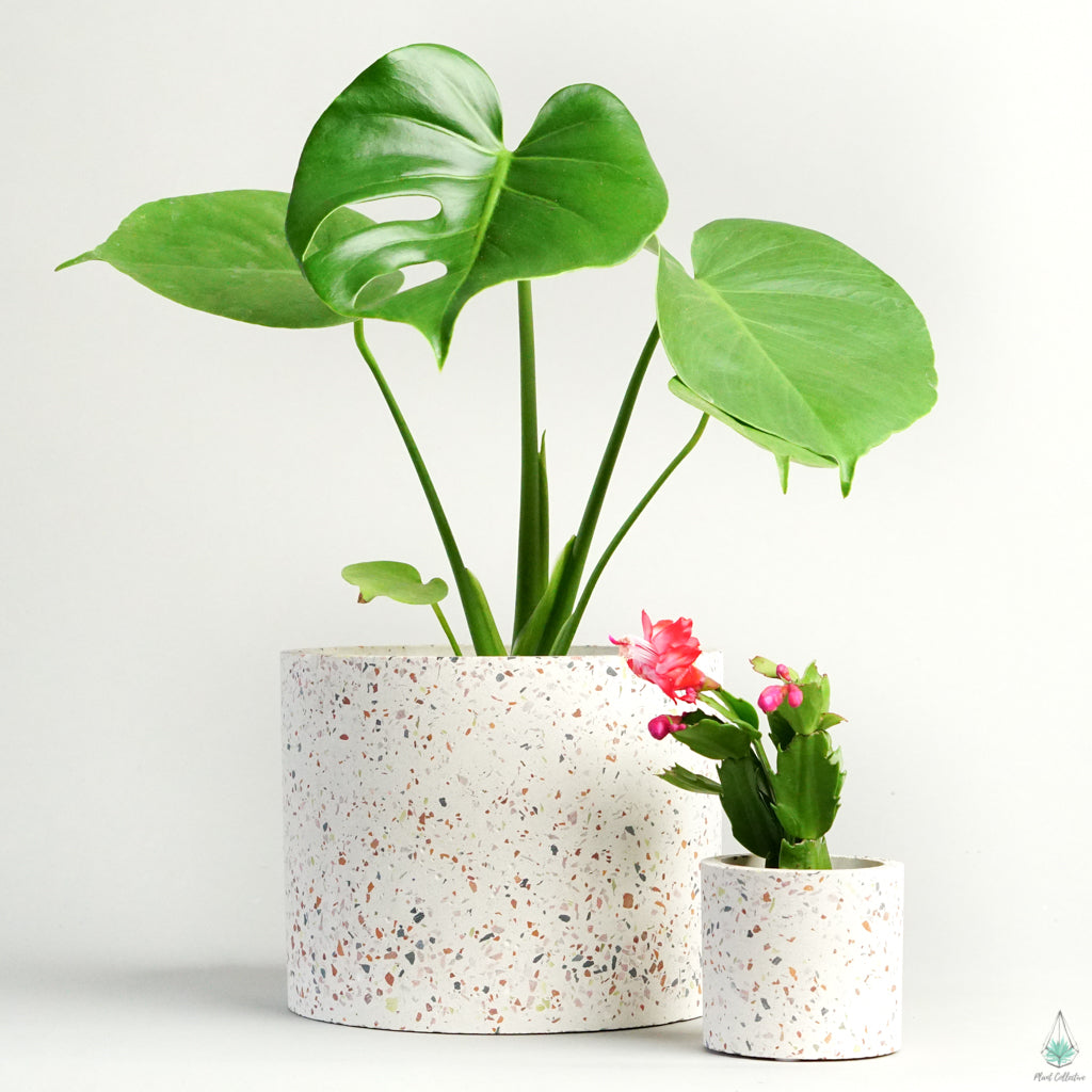 terrazzo plant pot Terrazzo Pot