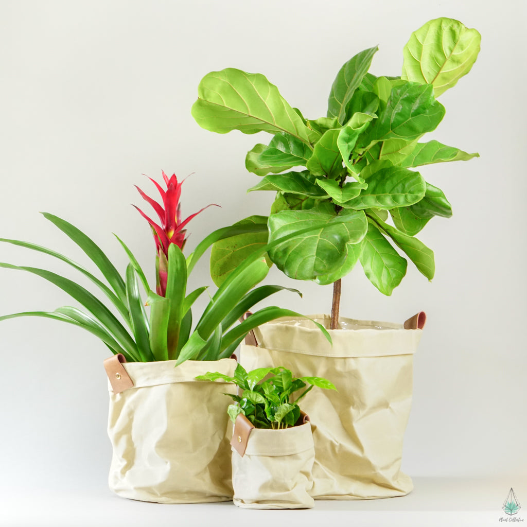 canvas pot plant bags Waxed Canvas Bag Planter