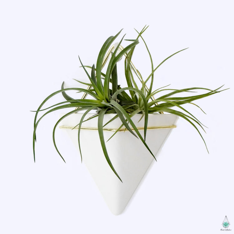 Triangle Wall Planters
