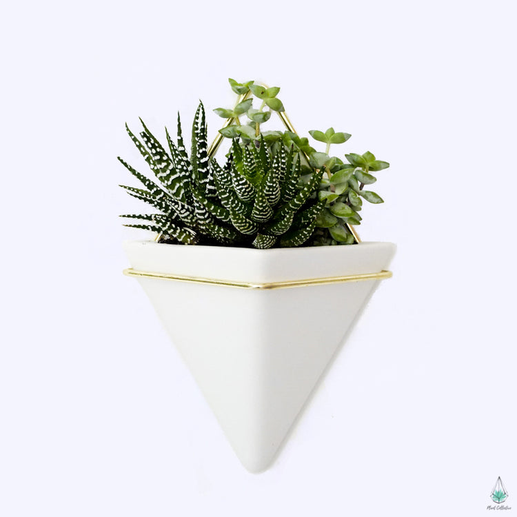Triangle Wall Planters
