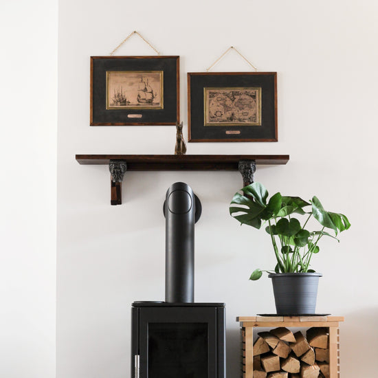 Monstera Deliciosa (Swiss Cheese Plant) - Plant Collective