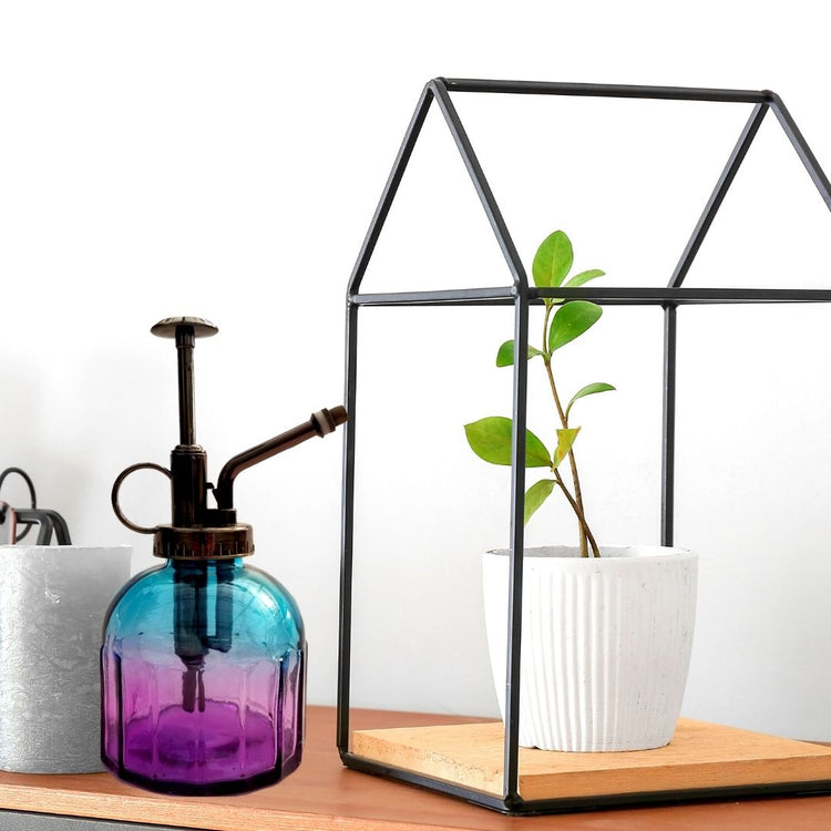 Ombre Mister Bottle