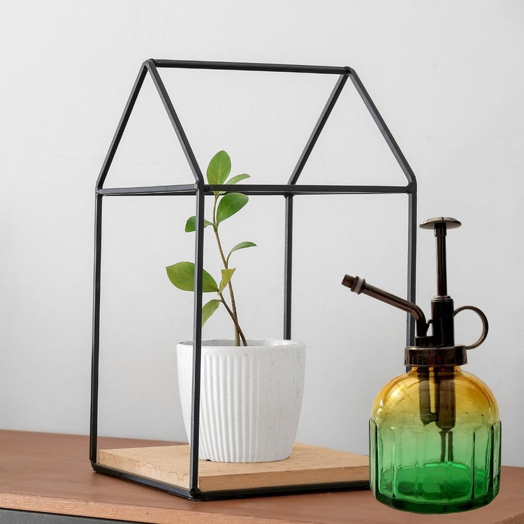 Ombre Mister Bottle