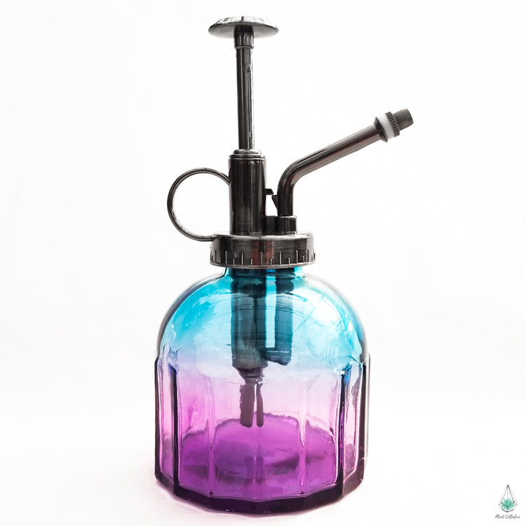 Ombre Mister Bottle