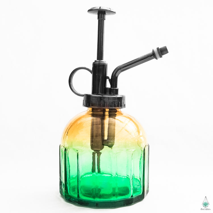 Ombre Mister Bottle