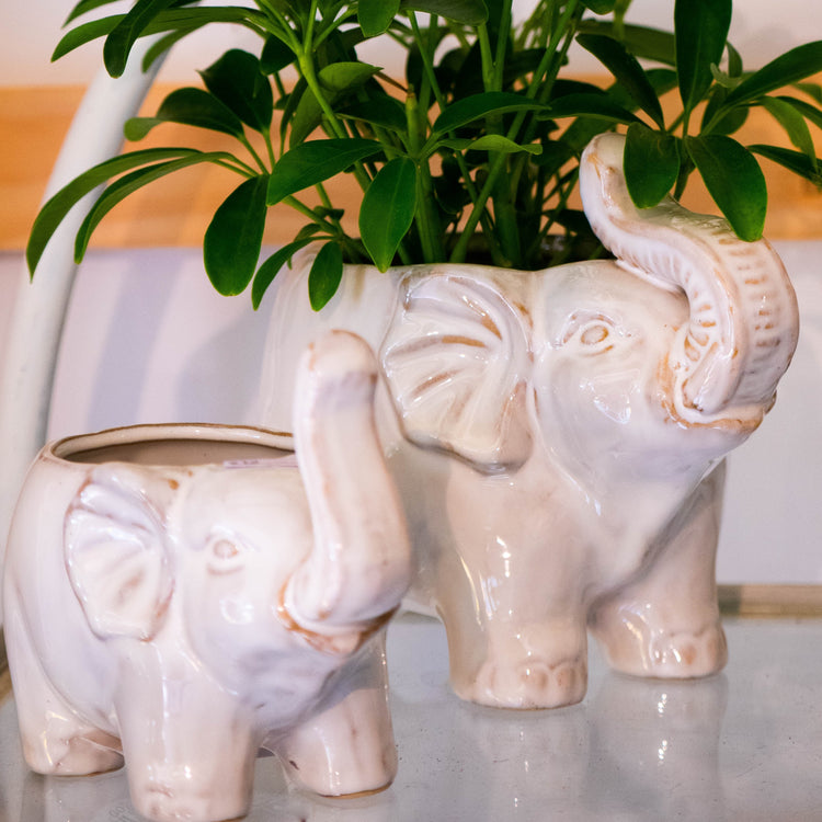 Elephant Pot
