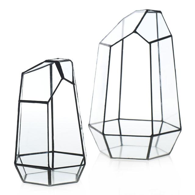 DIY Succulent Terrarium Kit - Tower - Plant Collective