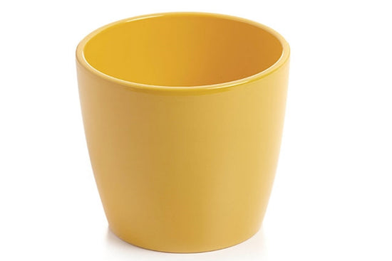 Marlow Pot - Yellow - By Plant Collective | Indoor House Plants, Succulents, Air Plants & Terrariums - Toronto Canada