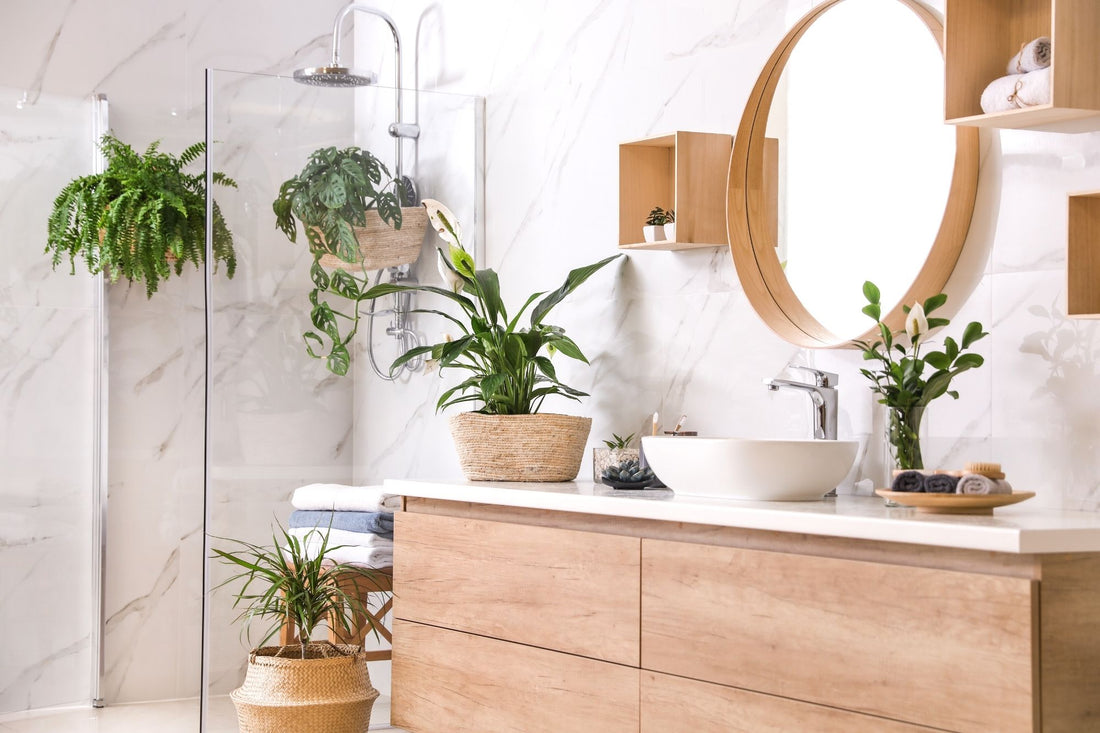 10 Perfect House Plants for Your Bathroom