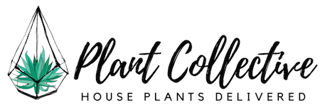 Plant Collective logo