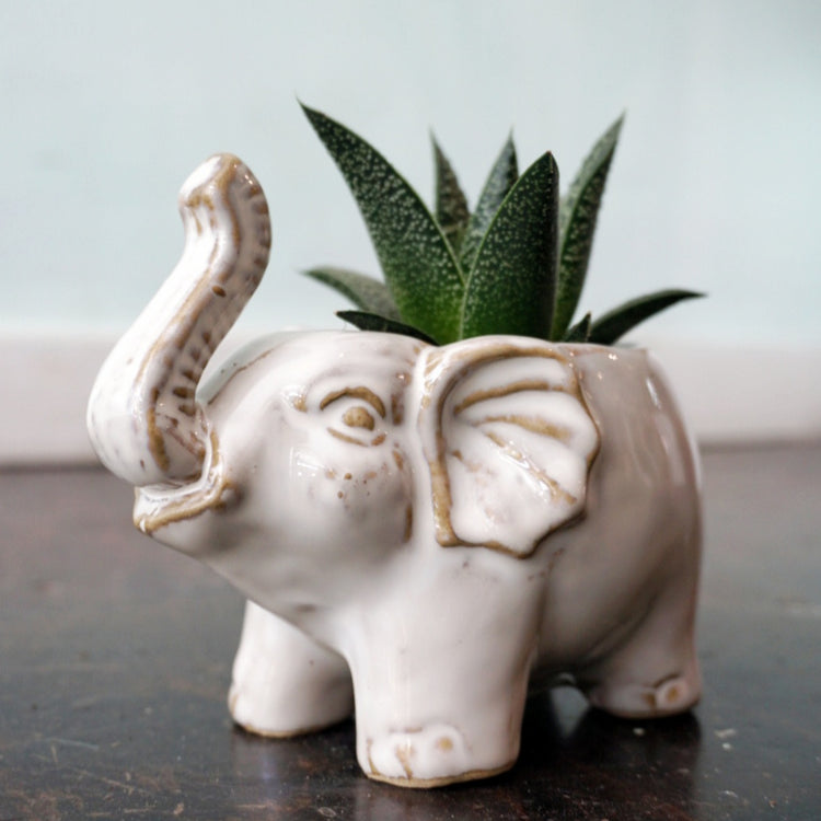 Elephant Pot - By Plant Collective | Indoor House Plants, Succulents, Air Plants & Terrariums - Toronto Canada