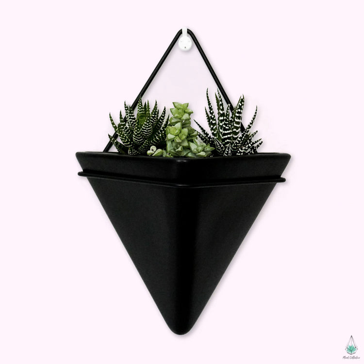 Triangle Wall Planters