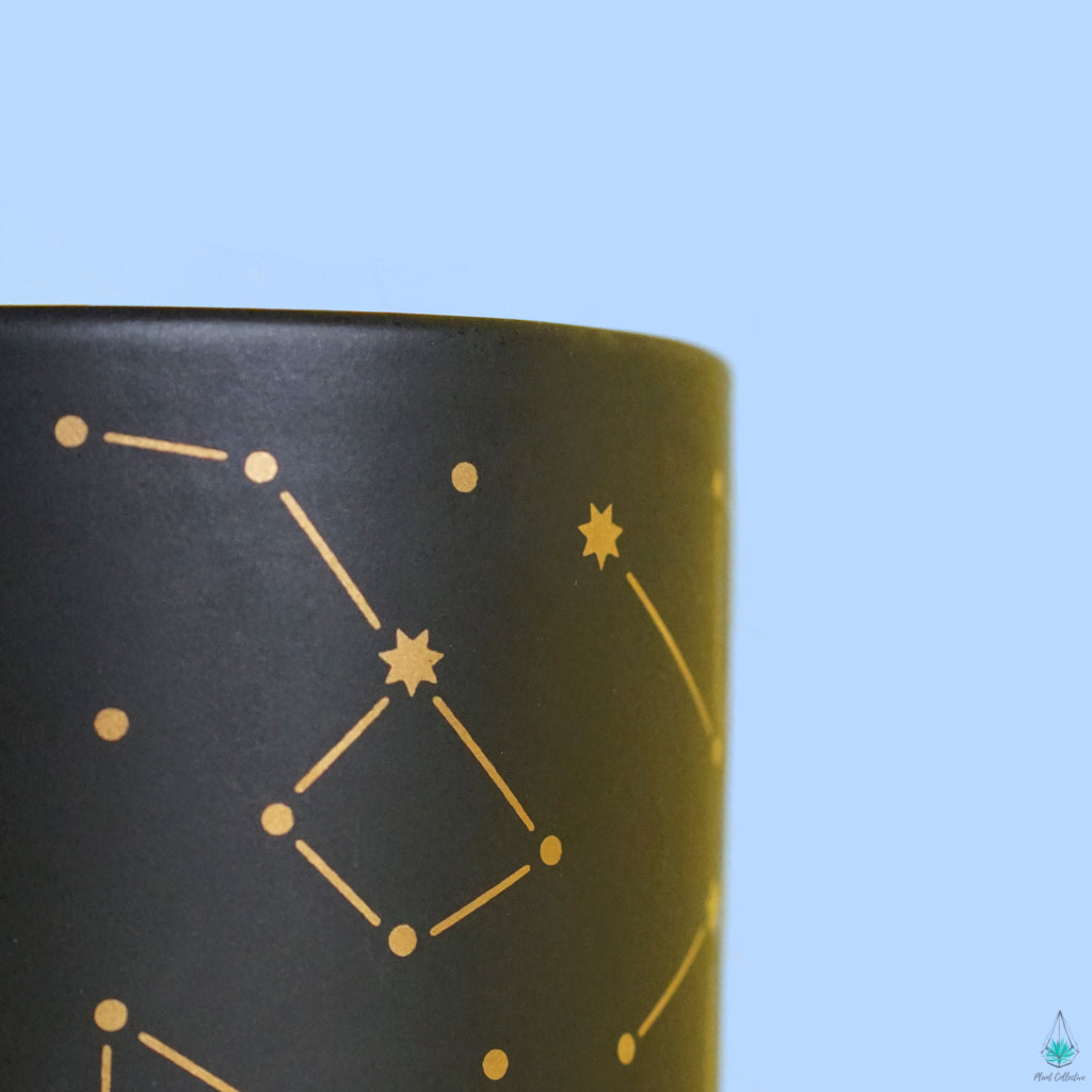 Constellations Pot