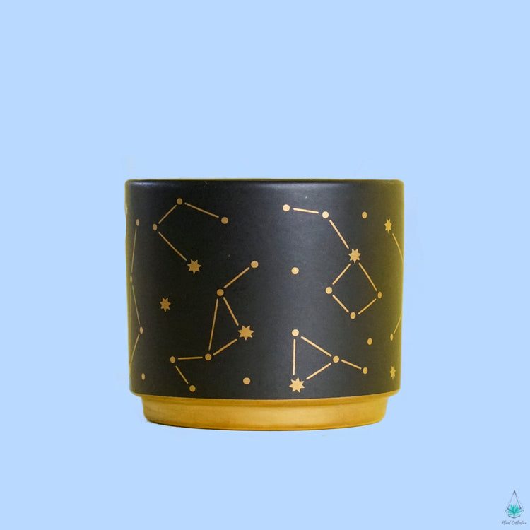 Constellations Pot