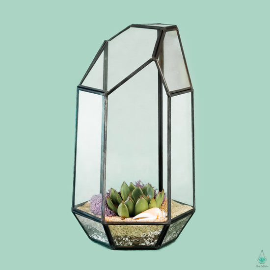 succulent plant tower DIY Succulent Terrarium Kit