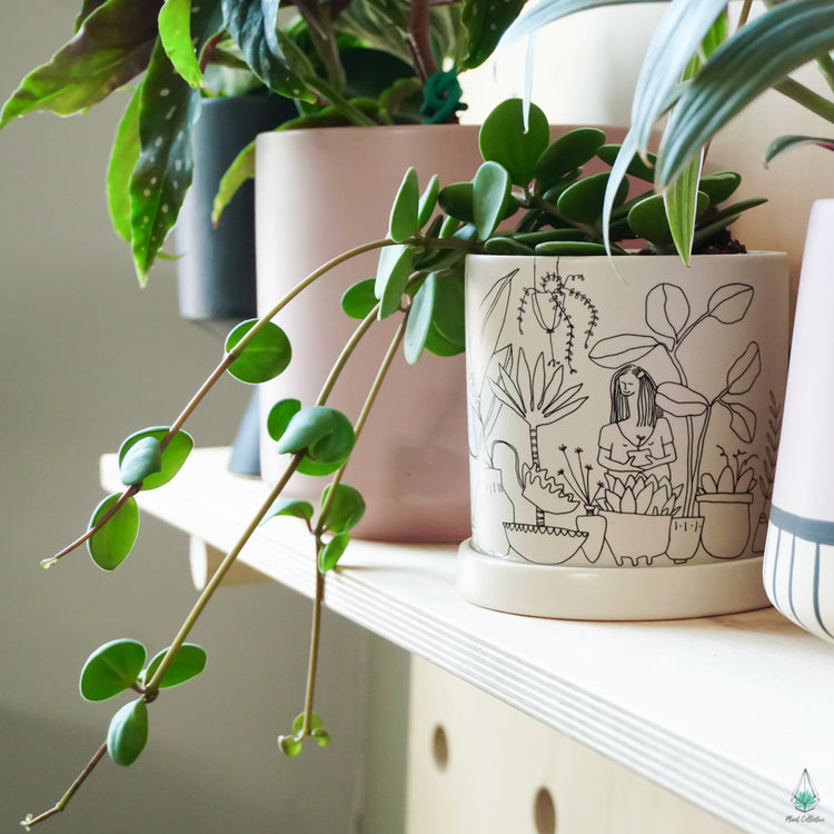 Plant Lady Pot