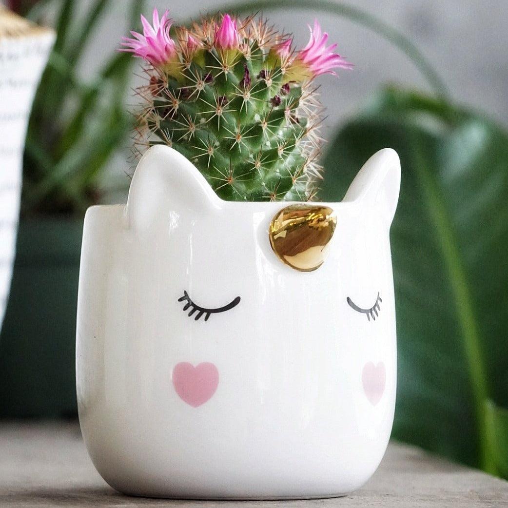 Unicorn Pot - By Plant Collective | Indoor House Plants, Succulents, Air Plants & Terrariums - Toronto Canada