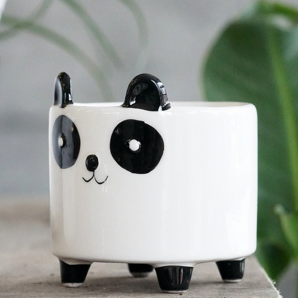 Panda Pot - By Plant Collective | Indoor House Plants, Succulents, Air Plants & Terrariums - Toronto Canada