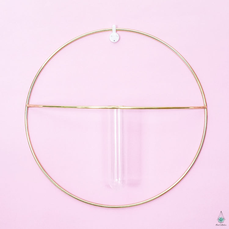 Circle Propagation Wall Hanger