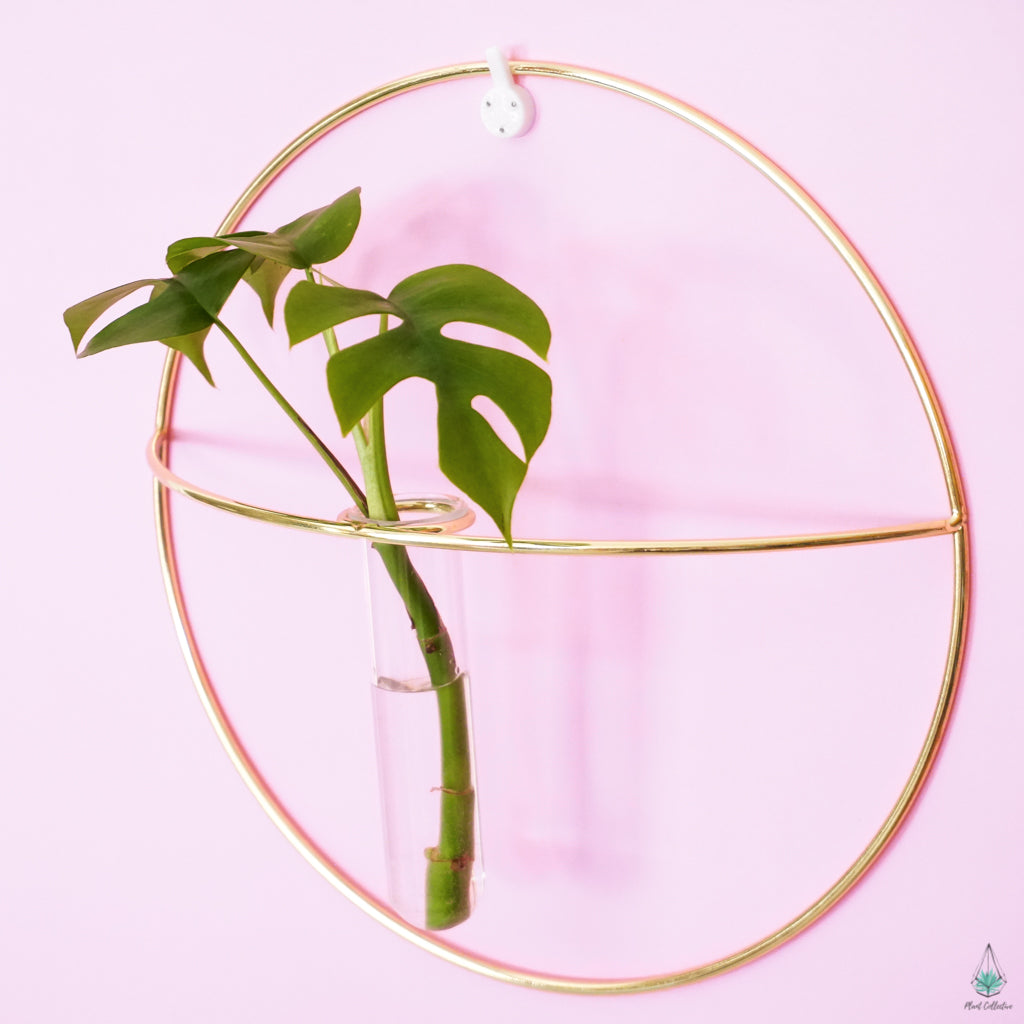 Circle Propagation Wall Hanger