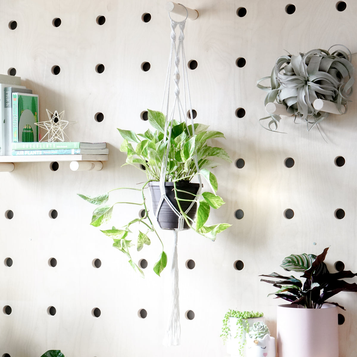 Macrame Plant Hanger