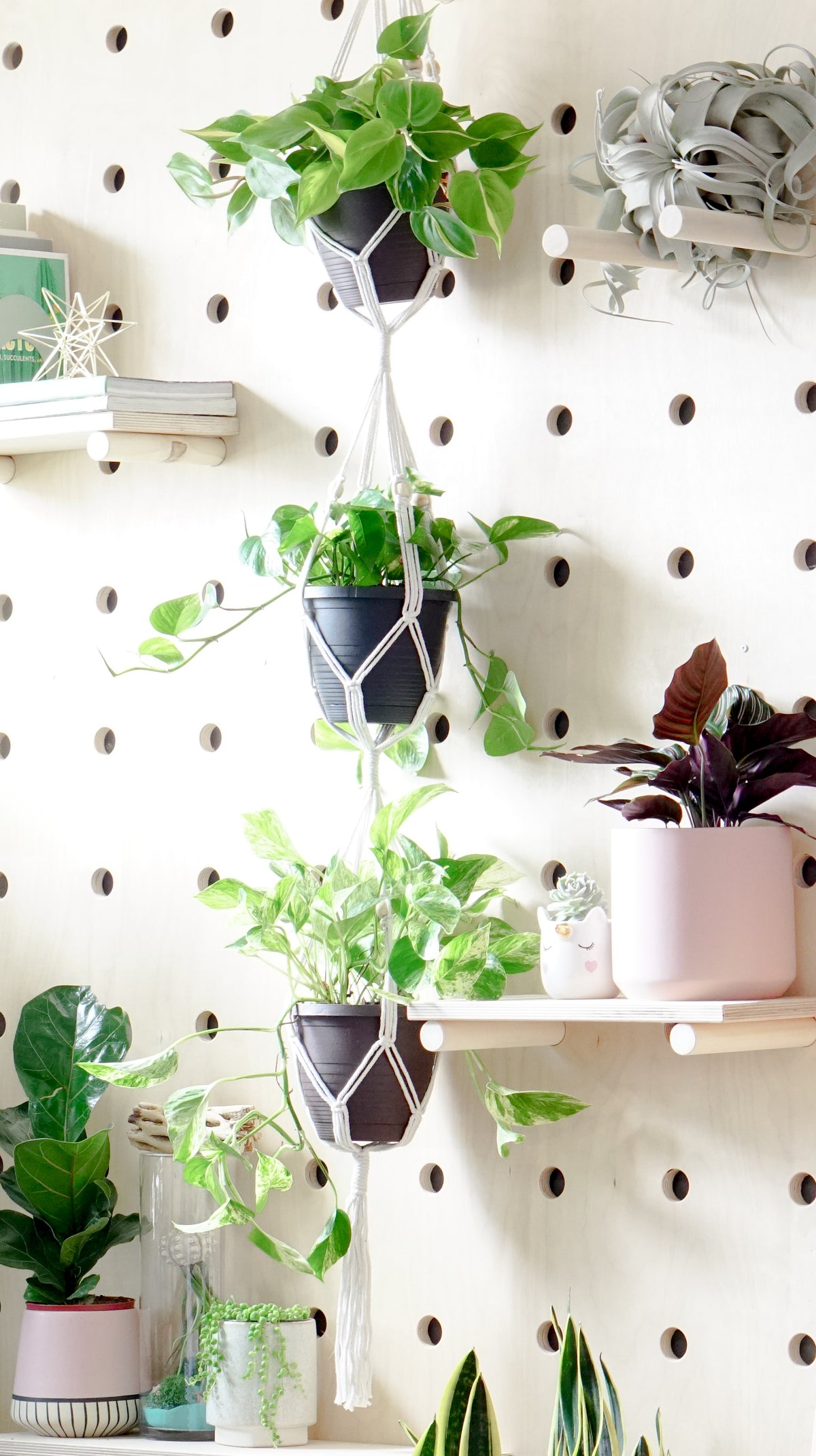 Macrame Plant Hanger