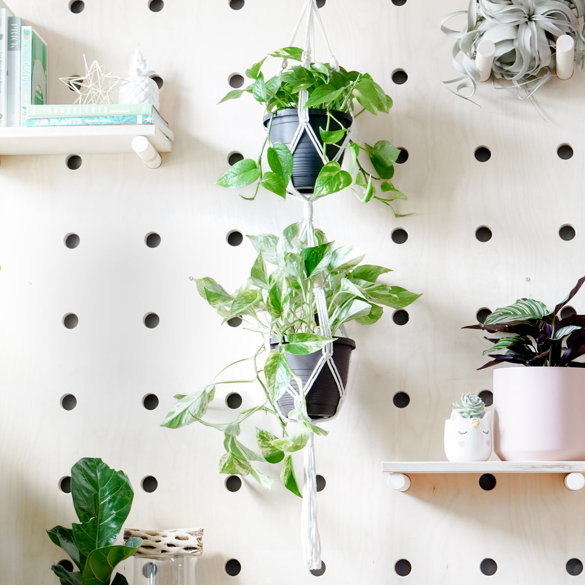 Macrame Plant Hanger