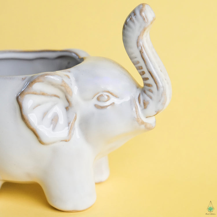 Elephant Pot