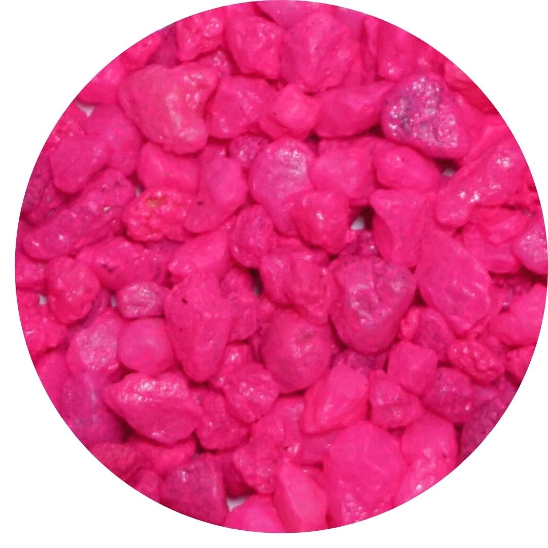 Pink Rocks | Indoor House Plants Delivery Canada