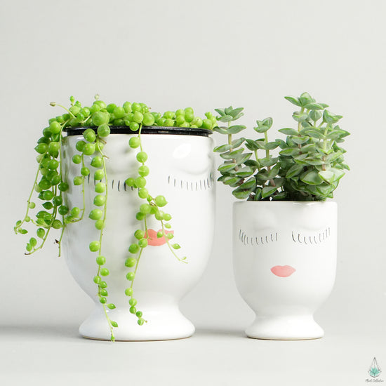 Selfie Vase - Plant Collective