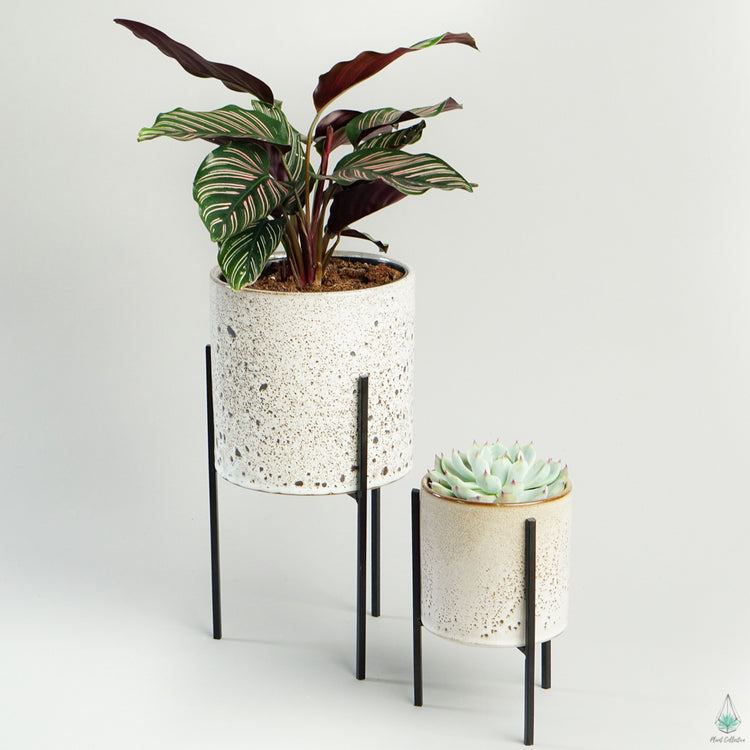 Veranda Plant Stand - Plant Collective