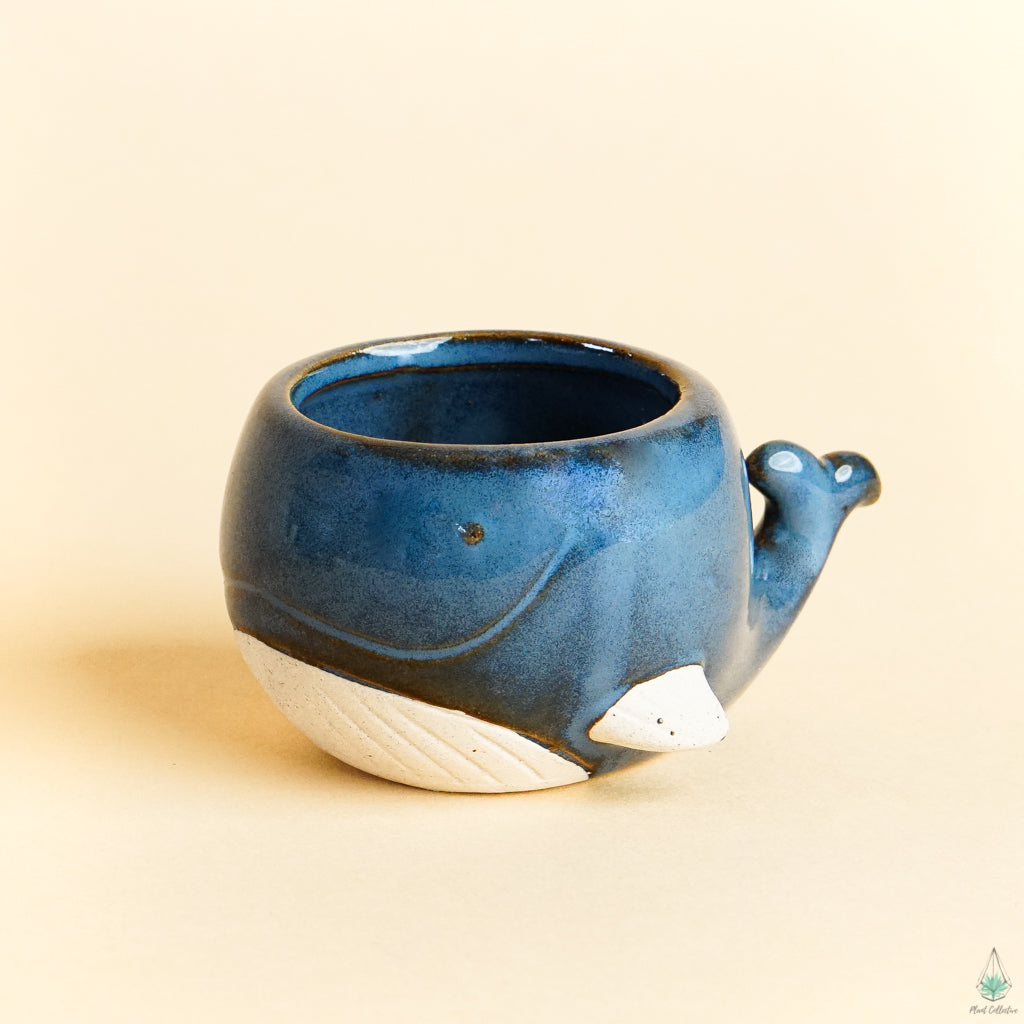Whale Pot