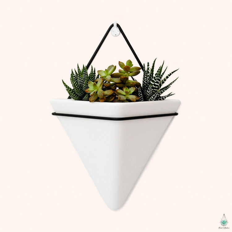 Triangle Wall Planters