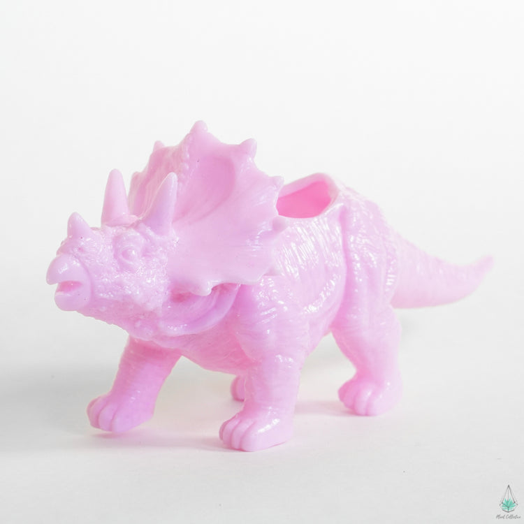 Dino-Pot Triceratops